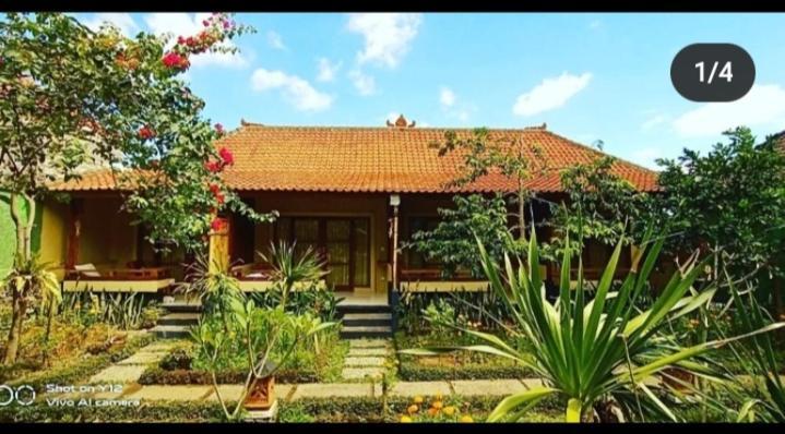 Pomelo Guest House Ubud  Ngoại thất bức ảnh
